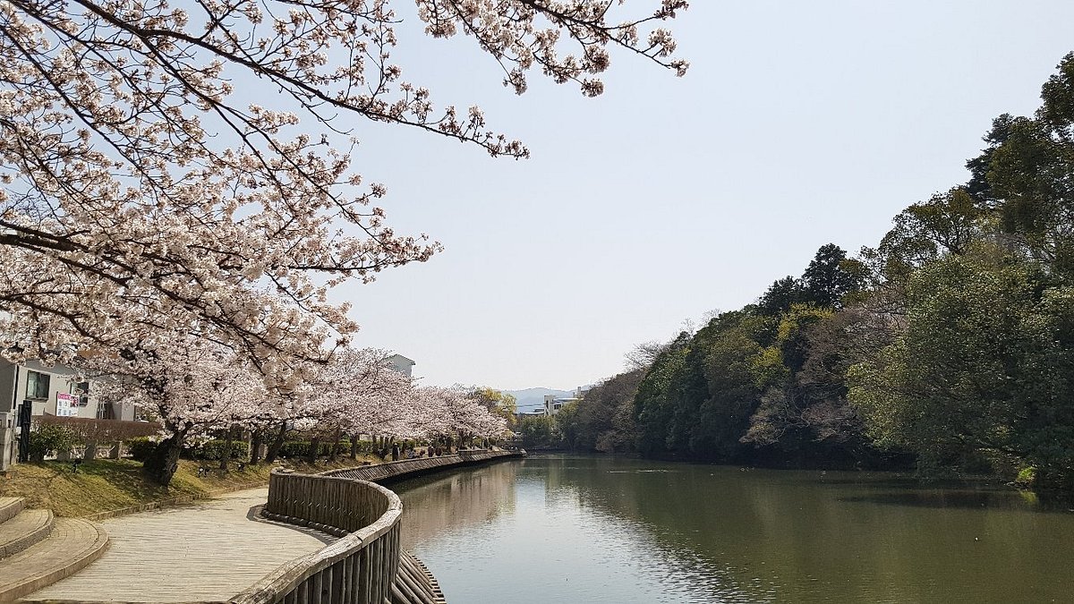 🏯 가메야마 성터(가메야마조시) 이미지 8
